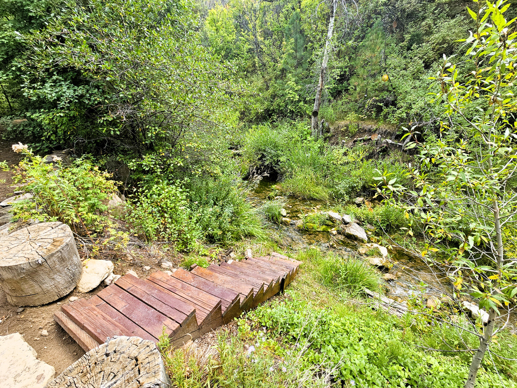 26 BIRCH CREEK DR #D26&28 Fairview, UT 84629