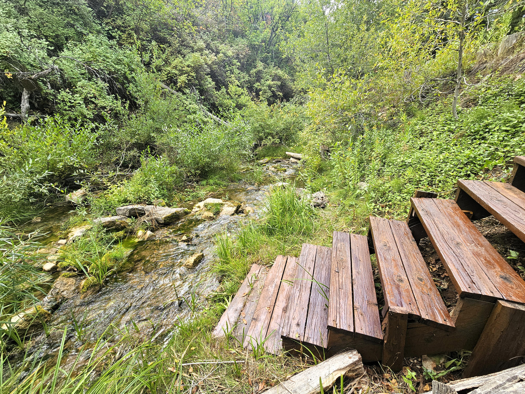 26 BIRCH CREEK DR #D26&28 Fairview, UT 84629