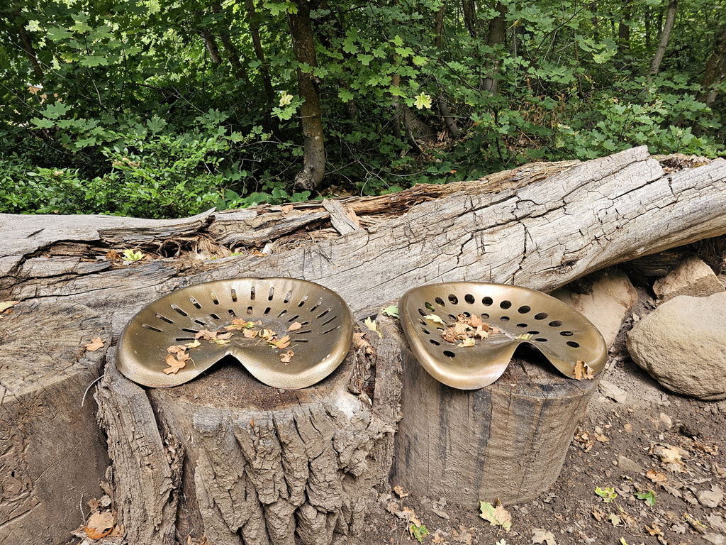 26 BIRCH CREEK DR #D26&28 Fairview, UT 84629