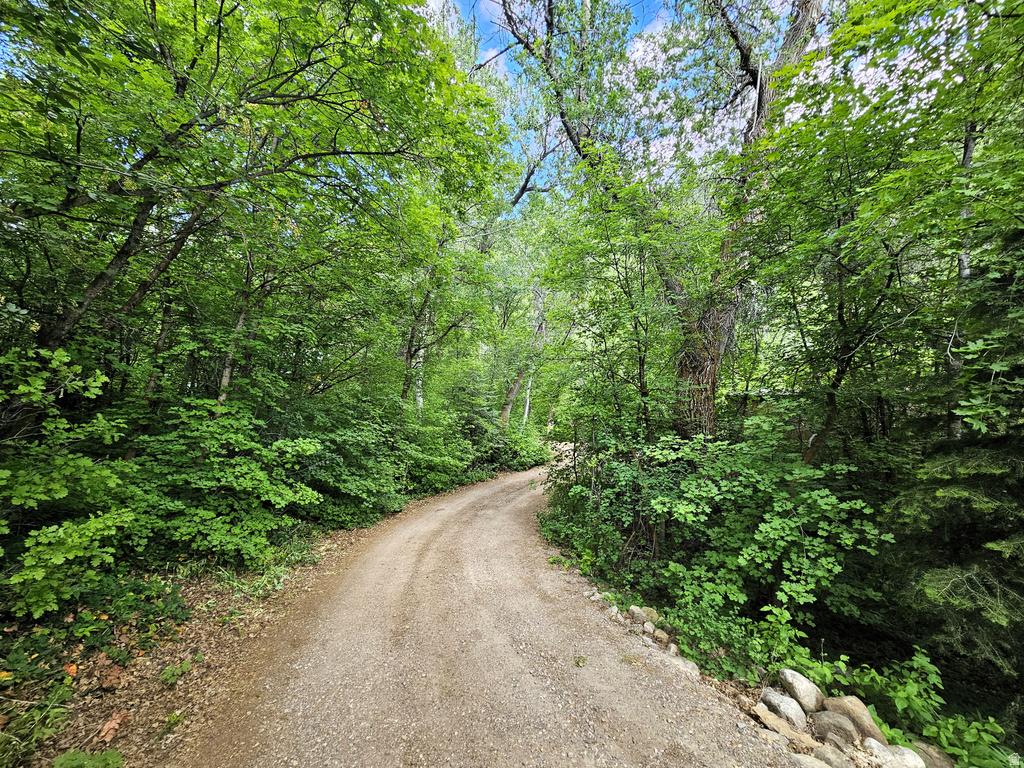 26 BIRCH CREEK DR #D26&28 Fairview, UT 84629