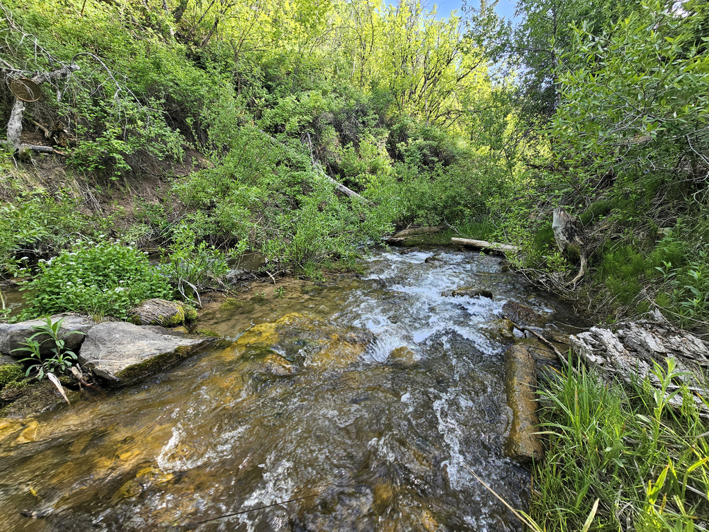 26 BIRCH CREEK DR #D26&28 Fairview, UT 84629