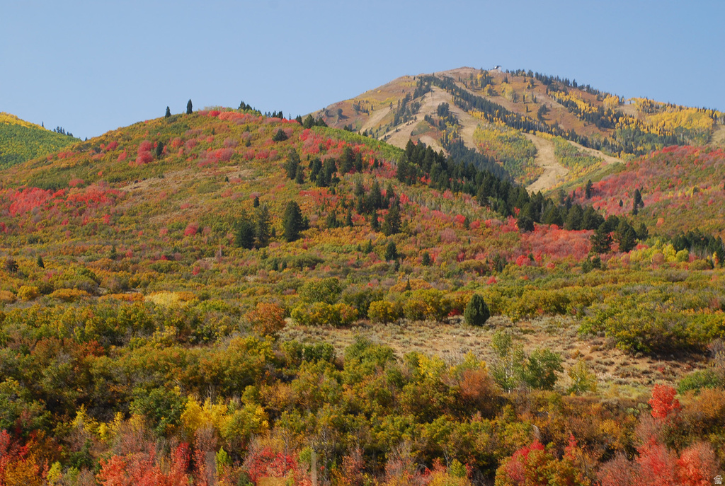 12384 ROSS CREEK DR Kamas, UT 84036