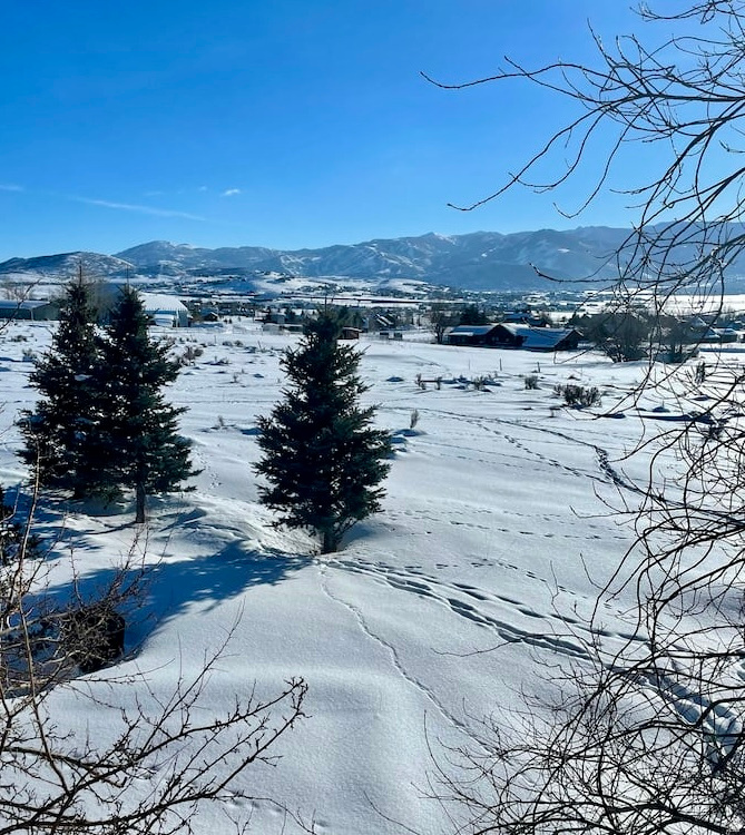 718 MAPLE DR Park City, UT 84098