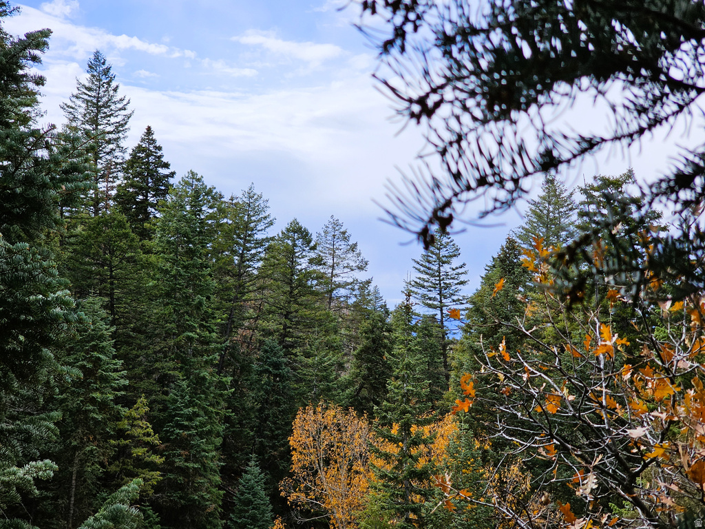 38 TWIN CREEK DR #V38 Mt Pleasant, UT 84647