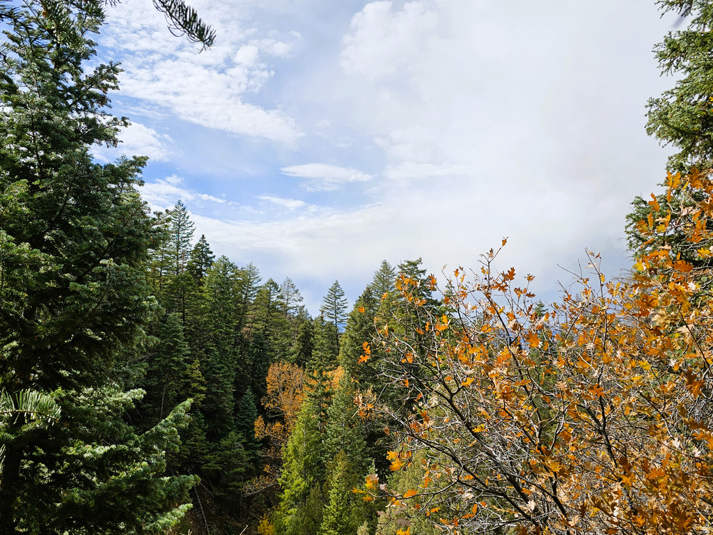 38 TWIN CREEK DR #V38 Mt Pleasant, UT 84647