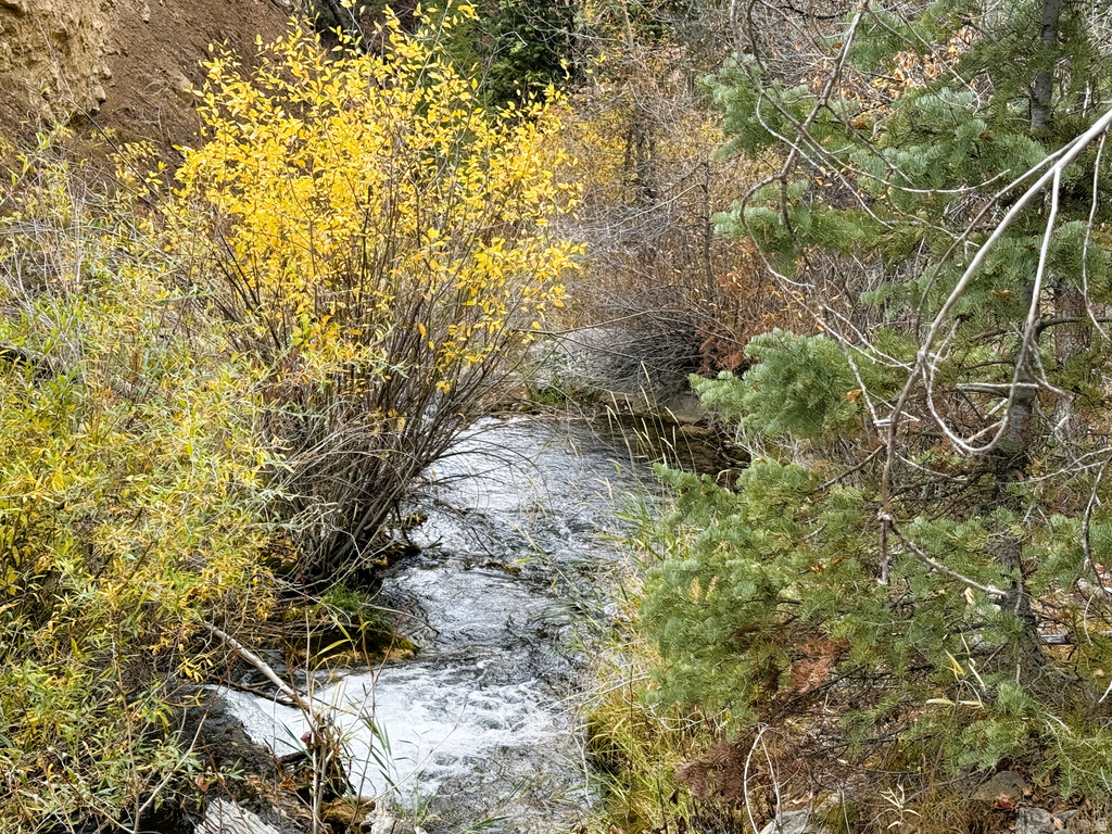 38 TWIN CREEK DR #V38 Mt Pleasant, UT 84647