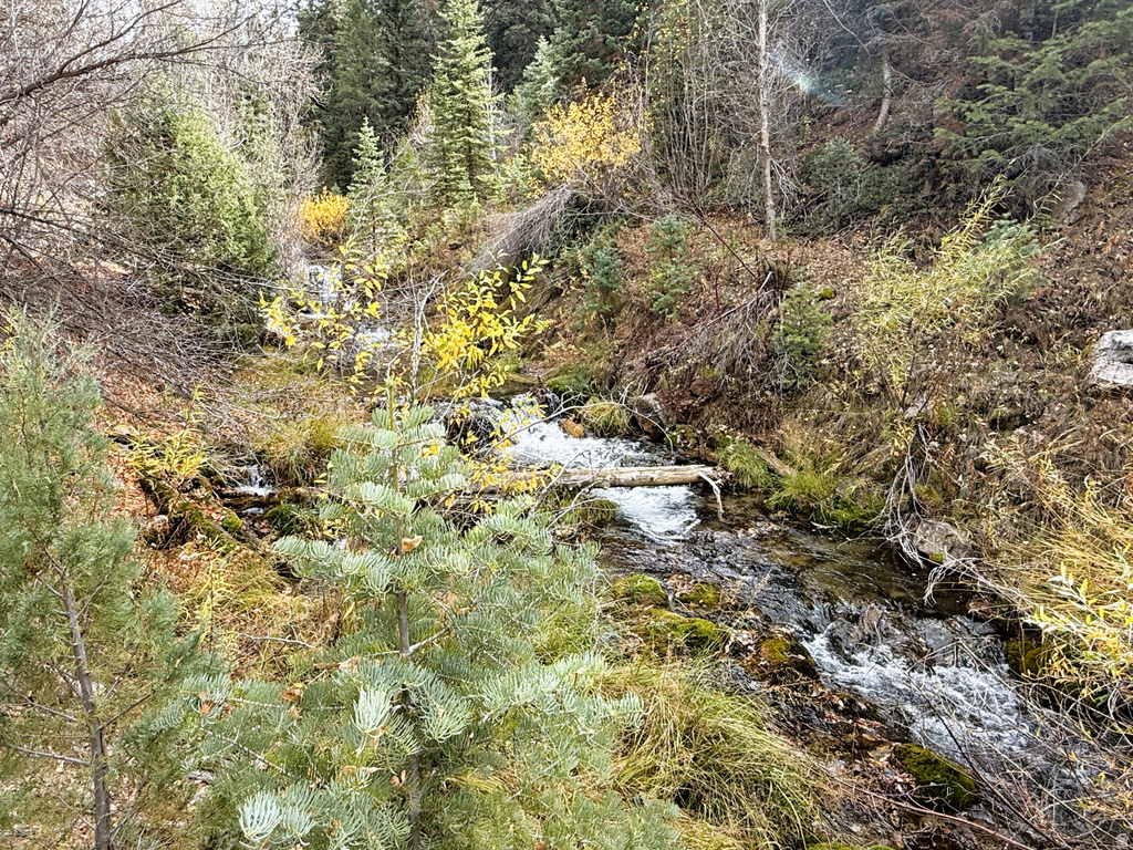 38 TWIN CREEK DR #V38 Mt Pleasant, UT 84647