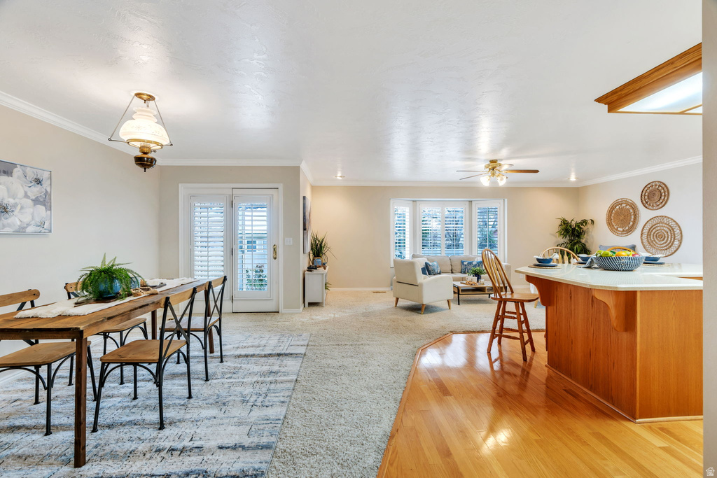 332 E 290 N Orem, UT 84057