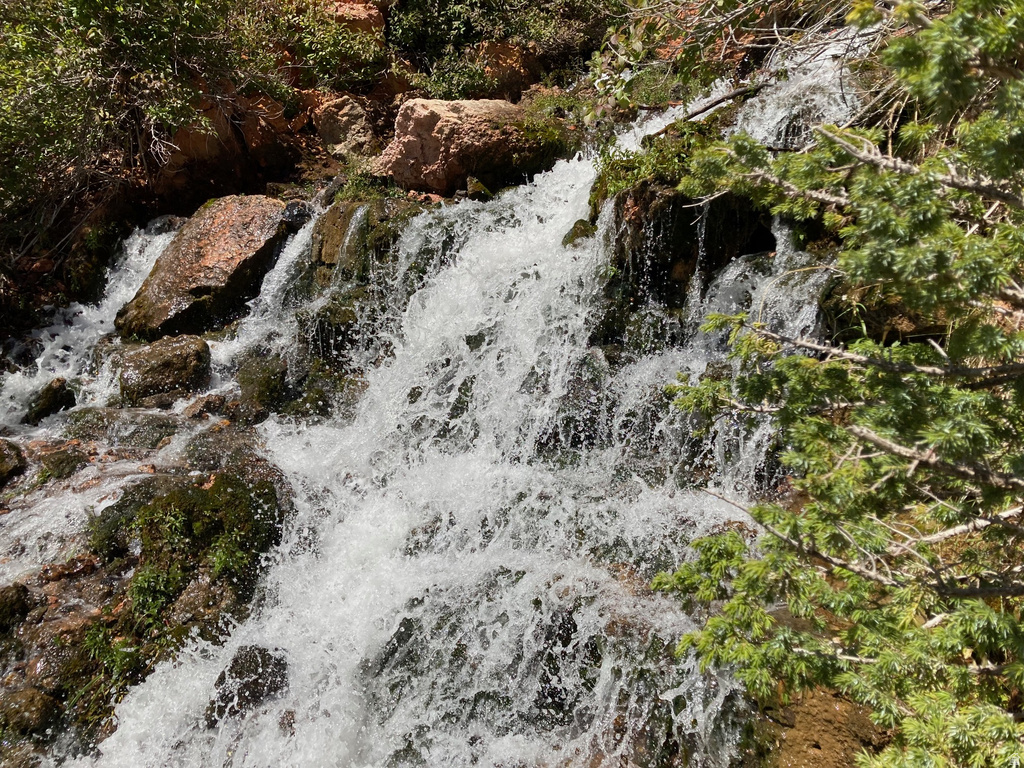 3120 N HENRY RD Duck Creek Village, UT 84762