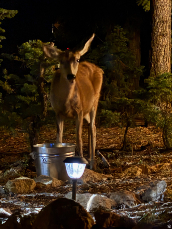 3120 N HENRY RD Duck Creek Village, UT 84762