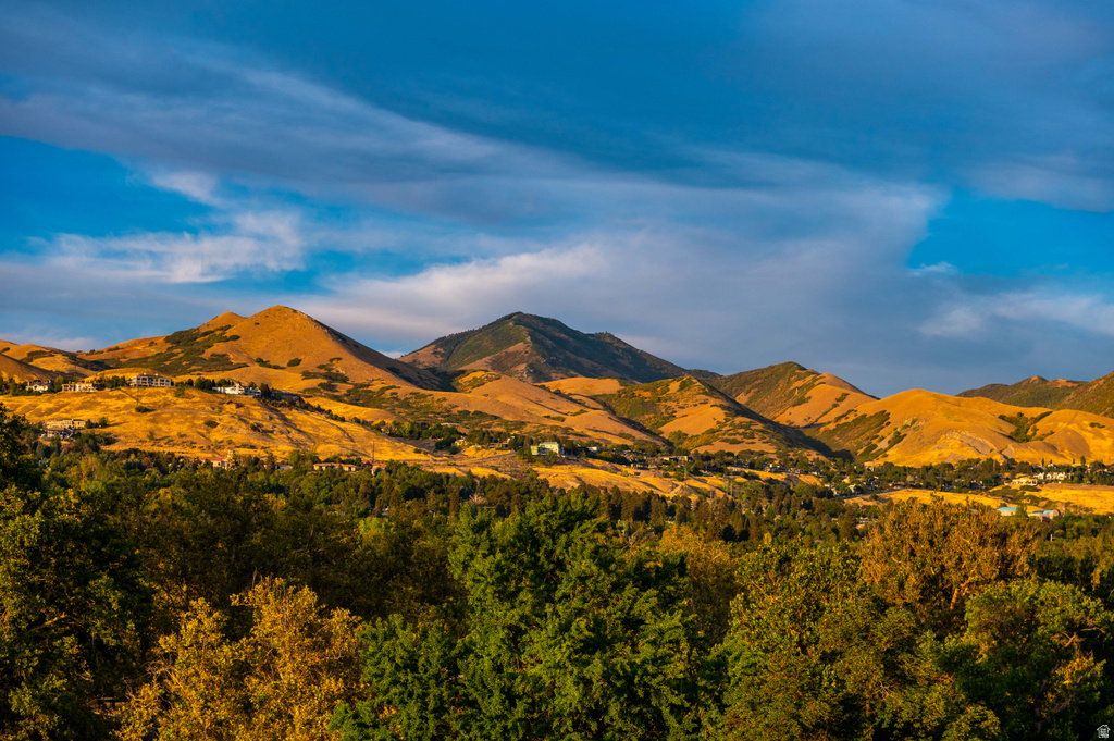 560 E SOUTH TEMPLE #704 Salt Lake City, UT 84102