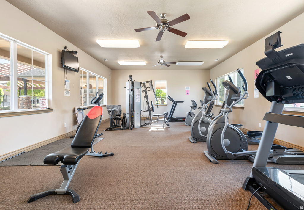 4729 W THORNDALE WAY West Jordan, UT 84084