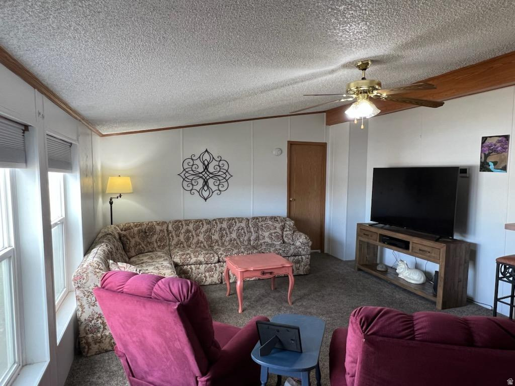 583 W 125 N Salina, UT 84654