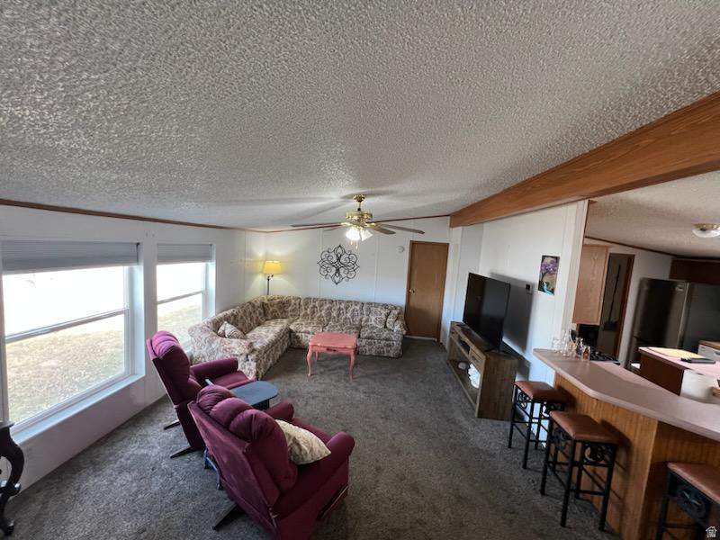 583 W 125 N Salina, UT 84654