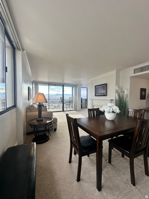 241 N VINE ST #1207W Salt Lake City, UT 84103