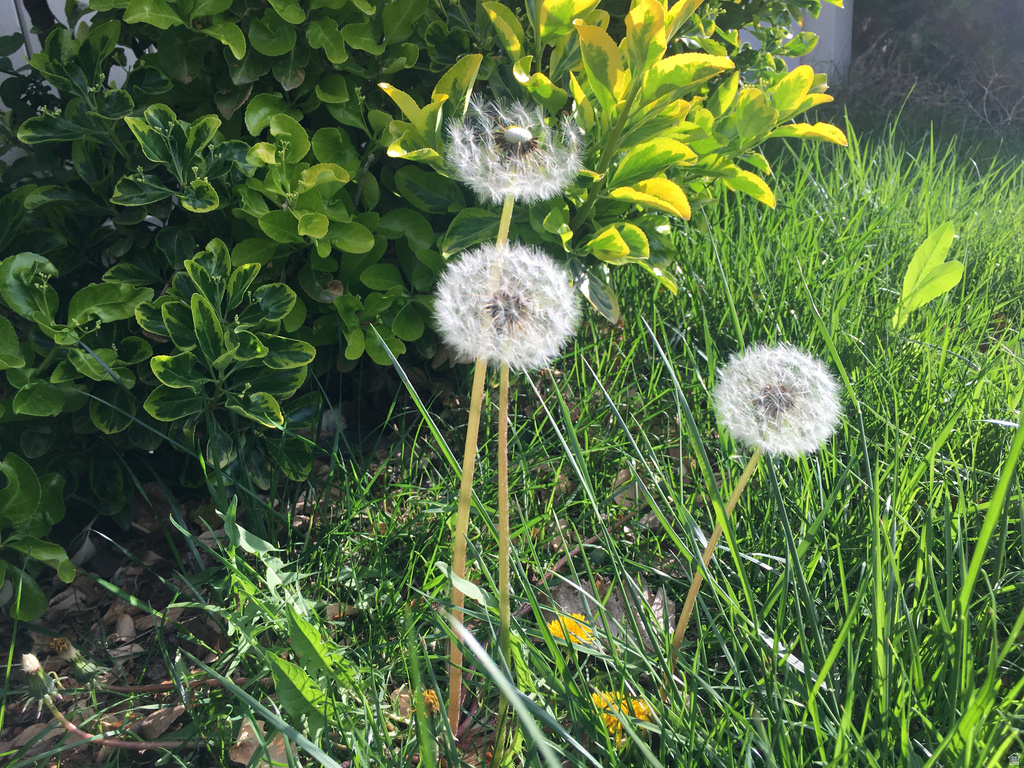 501 W 670 N Tooele, UT 84074