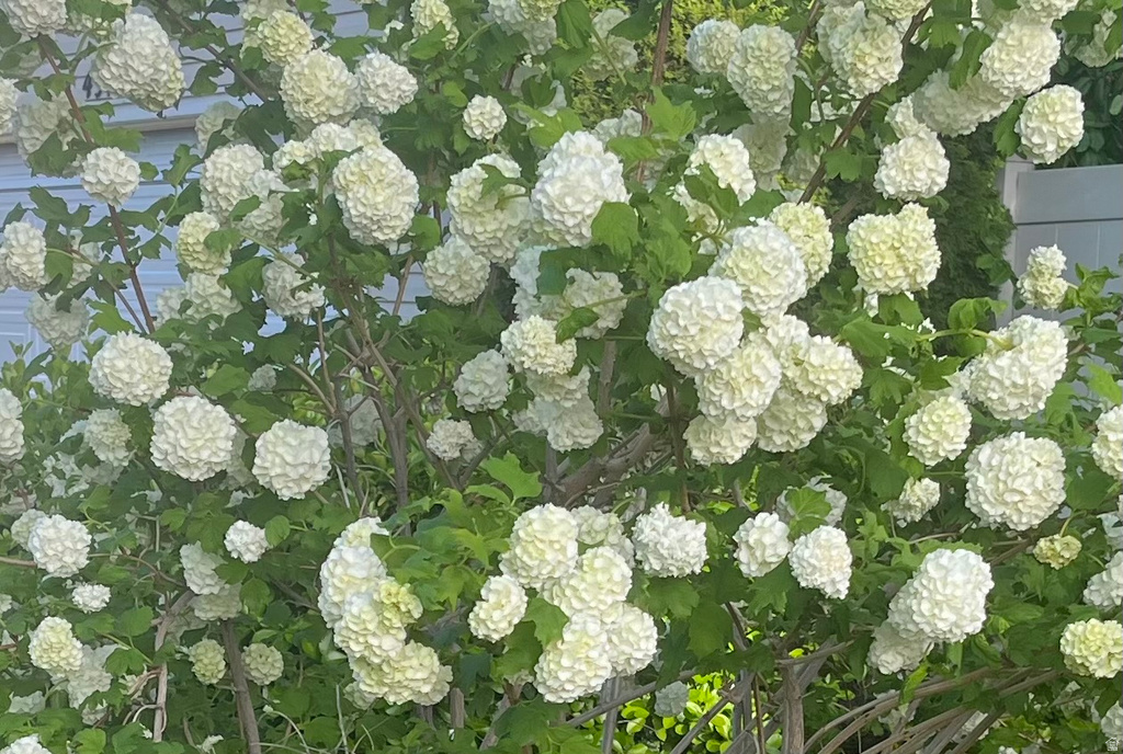 501 W 670 N Tooele, UT 84074