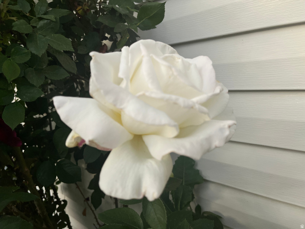 501 W 670 N Tooele, UT 84074