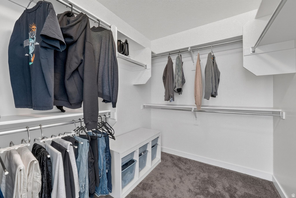 834 W DAYLIGHT DRIVE DR Bluffdale, UT 84065