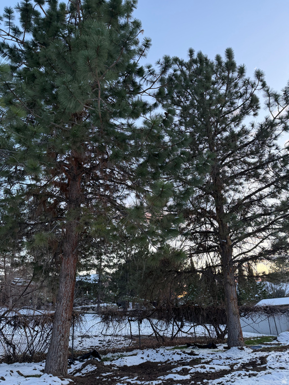 7 ROLLINGWOOD LN Sandy, UT 84092