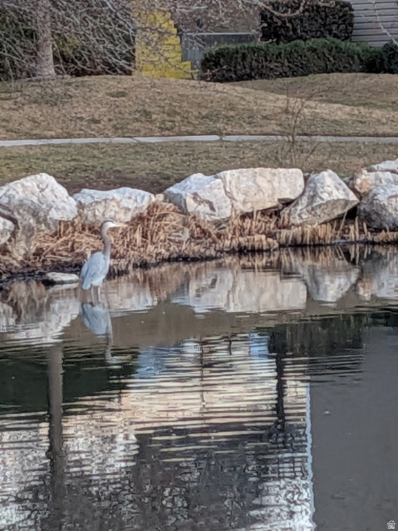 4611 S QUAIL VISTA COVE #G Millcreek, UT 84117