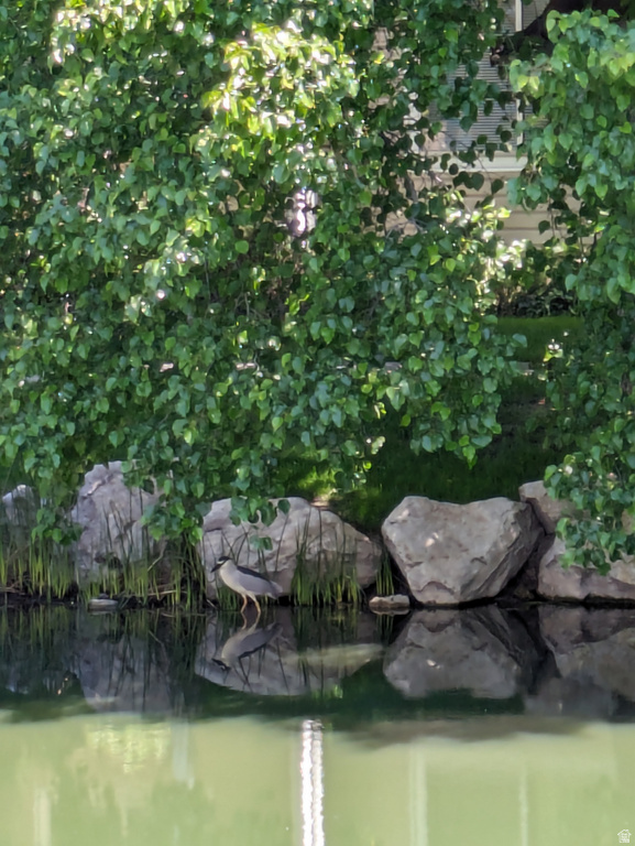 4611 S QUAIL VISTA COVE #G Millcreek, UT 84117