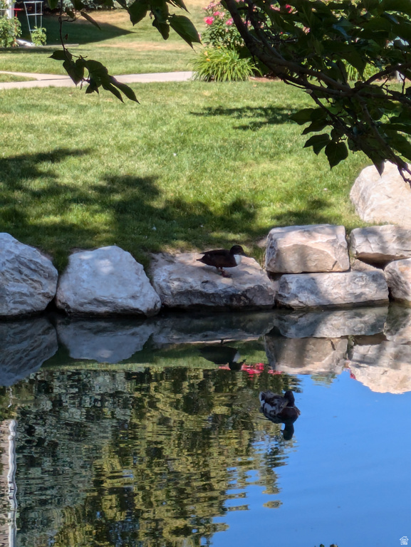 4611 S QUAIL VISTA COVE #G Millcreek, UT 84117