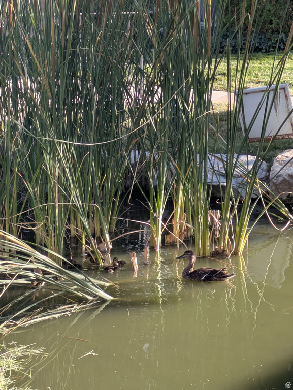 4611 S QUAIL VISTA COVE #G Millcreek, UT 84117