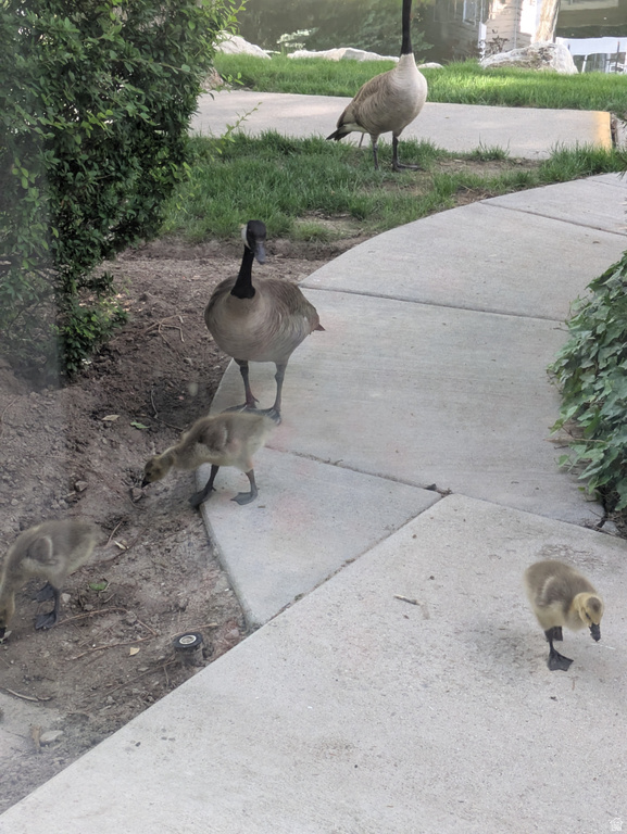 4611 S QUAIL VISTA COVE #G Millcreek, UT 84117