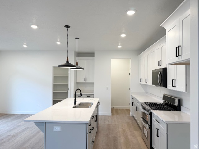 669 N PLAINSMAN DR Spanish Fork, UT 84660