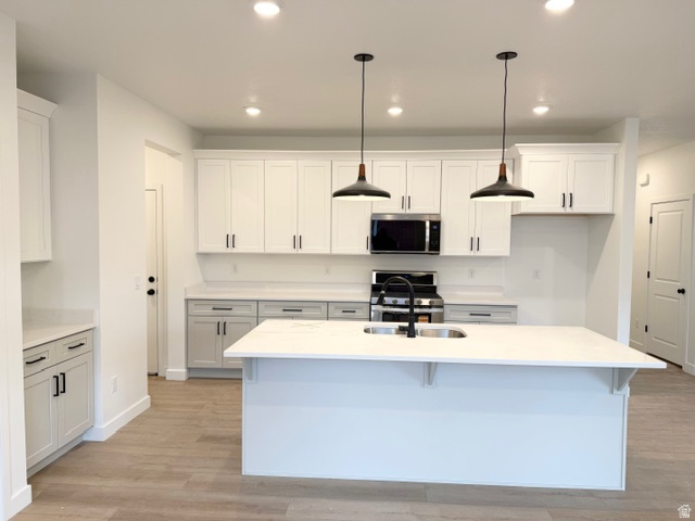 669 N PLAINSMAN DR Spanish Fork, UT 84660