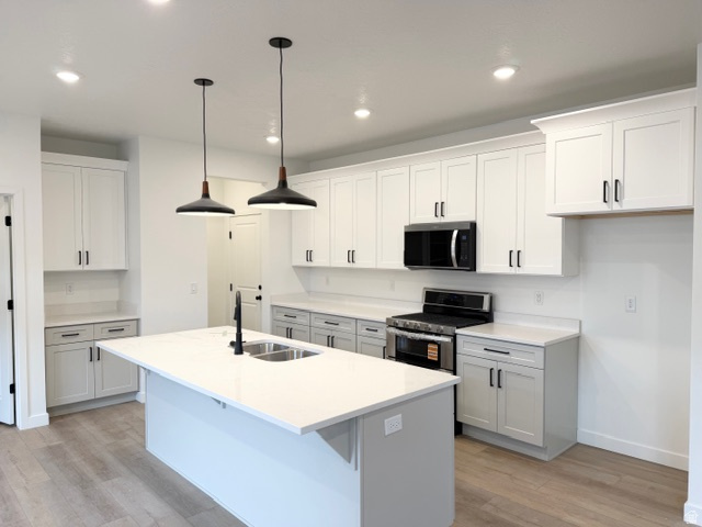 669 N PLAINSMAN DR Spanish Fork, UT 84660