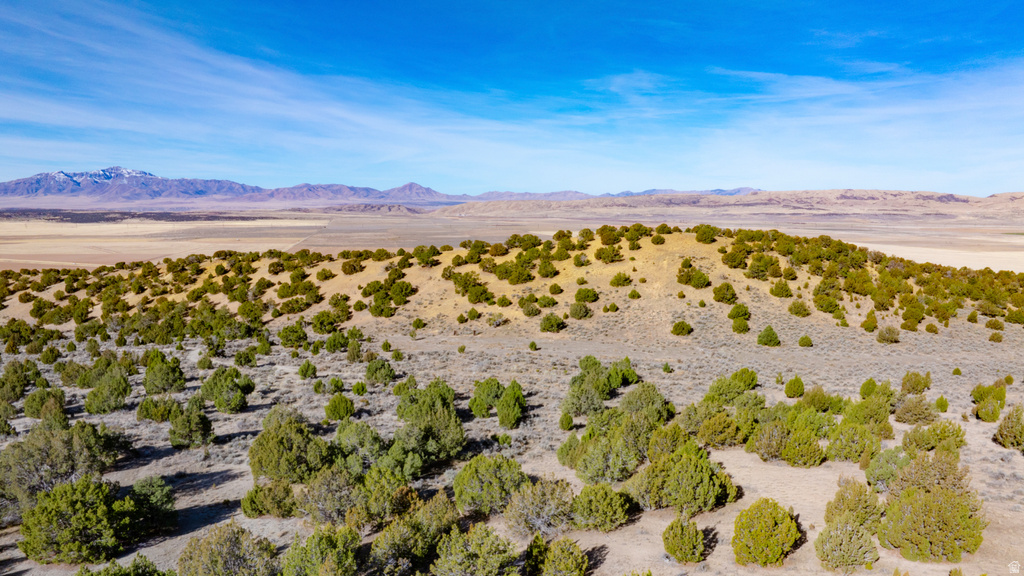 COUNTY ROAD 28 Levan, UT 84639