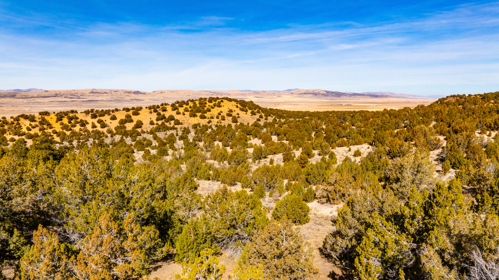 COUNTY ROAD 28 Levan, UT 84639