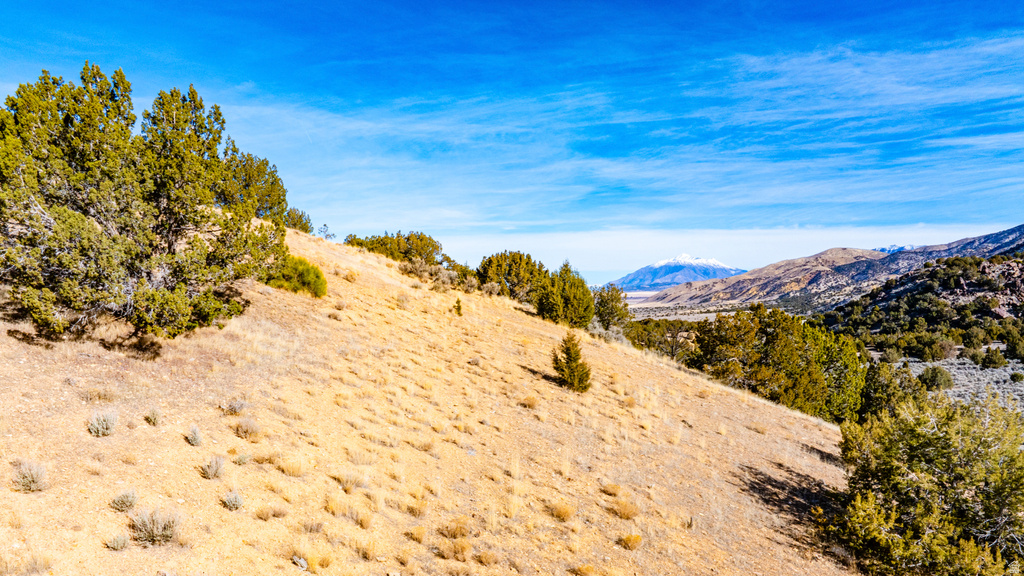 COUNTY ROAD 28 Levan, UT 84639