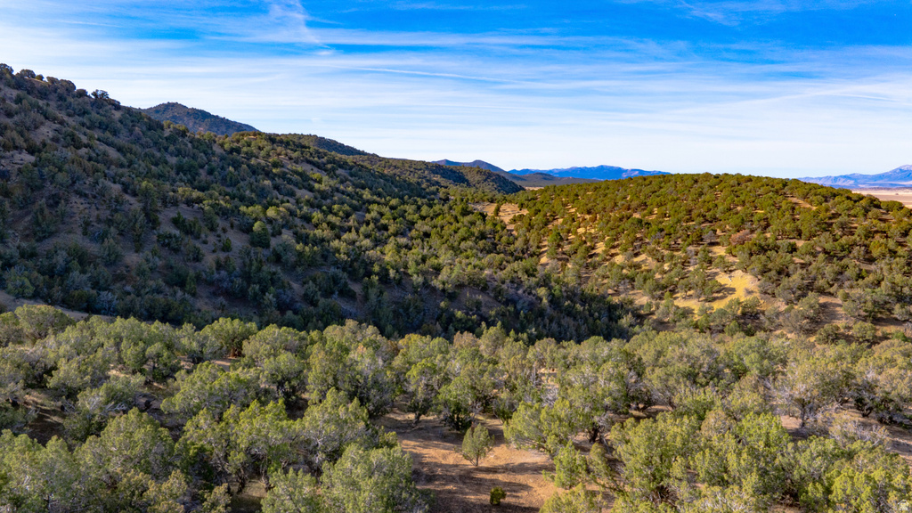 COUNTY ROAD 28 Levan, UT 84639