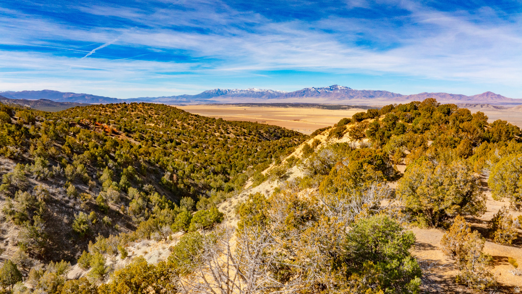 COUNTY ROAD 28 Levan, UT 84639