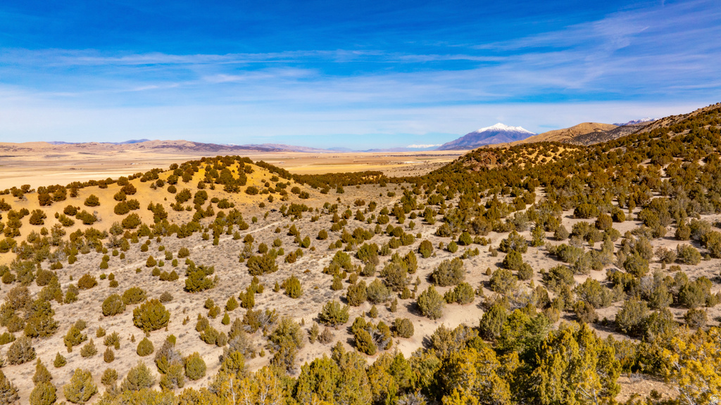 COUNTY ROAD 28 Levan, UT 84639