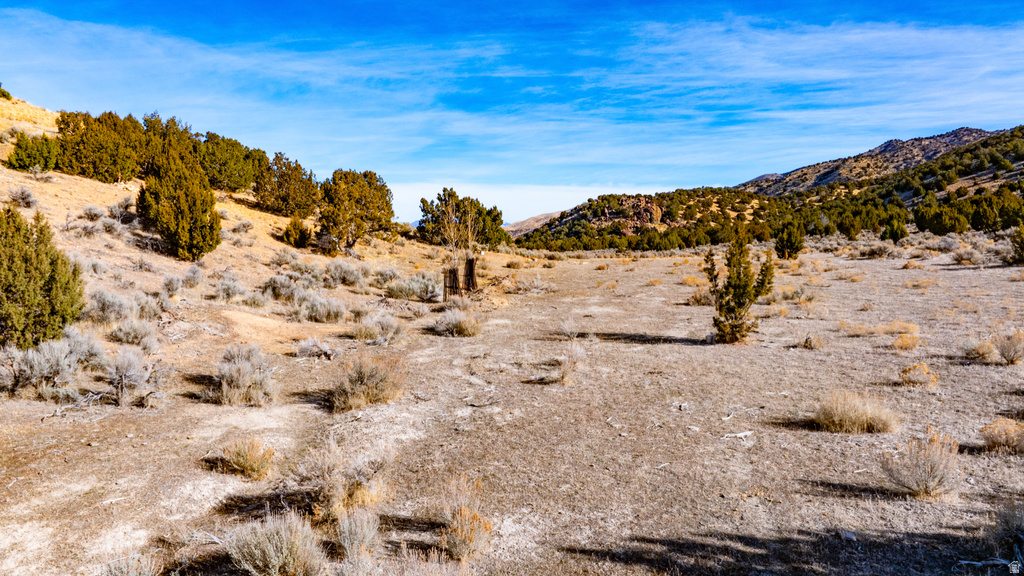 COUNTY ROAD 28 Levan, UT 84639