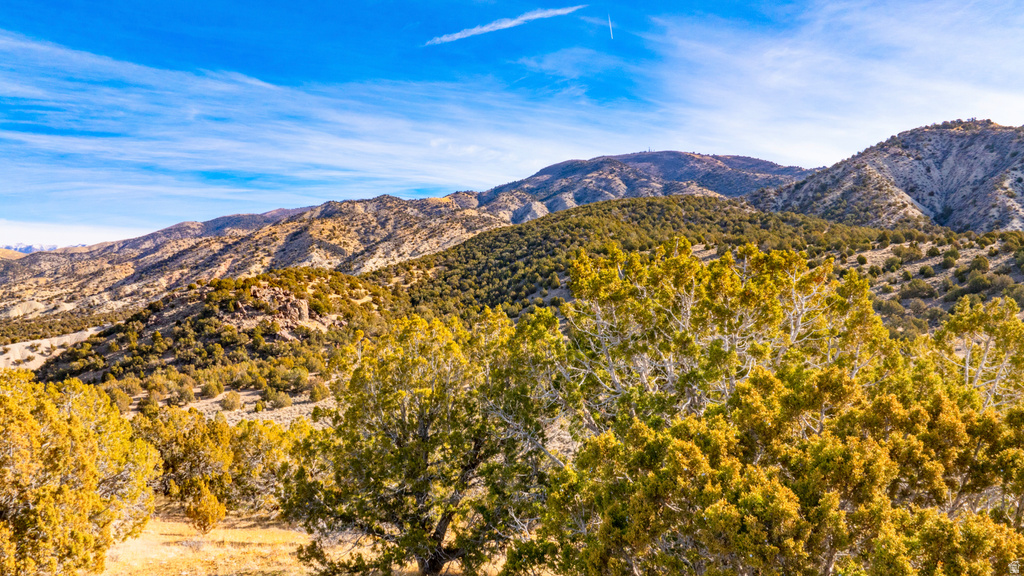 COUNTY ROAD 28 Levan, UT 84639