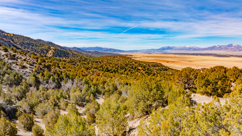 COUNTY ROAD 28 Levan, UT 84639