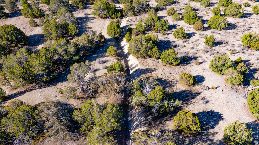 COUNTY ROAD 28 Levan, UT 84639