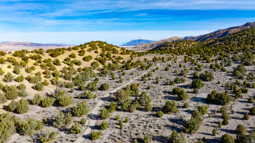 COUNTY ROAD 28 Levan, UT 84639