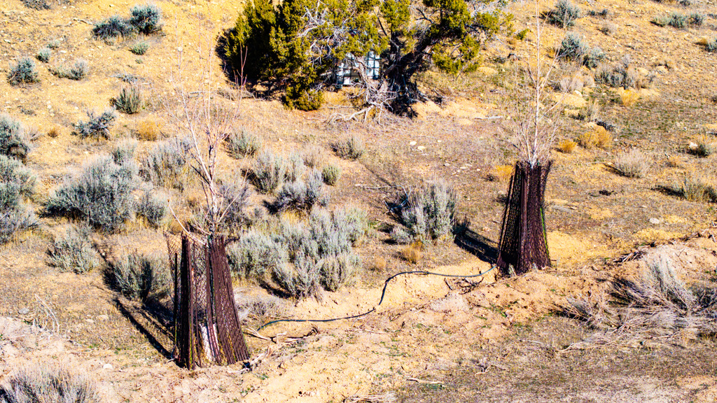 COUNTY ROAD 28 Levan, UT 84639