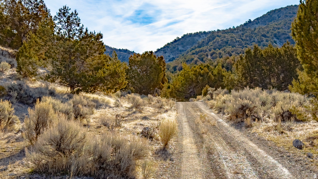 COUNTY ROAD 28 Levan, UT 84639