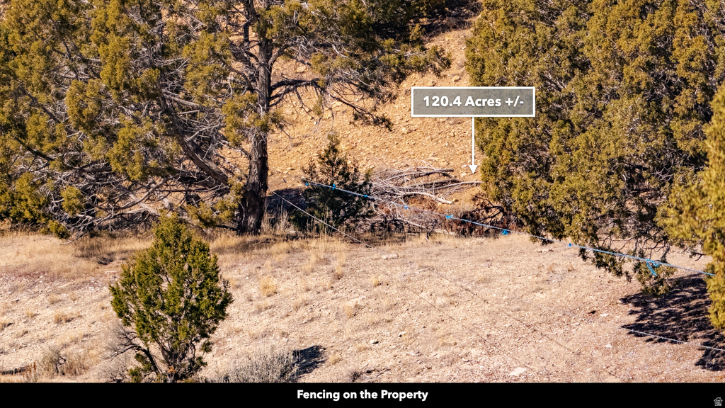 COUNTY ROAD 28 Levan, UT 84639