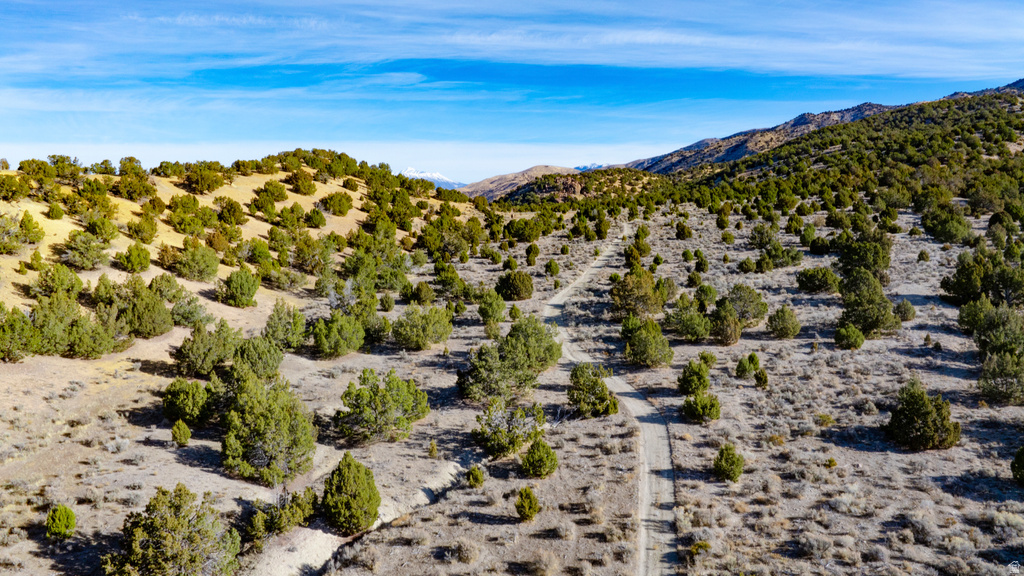 COUNTY ROAD 28 Levan, UT 84639