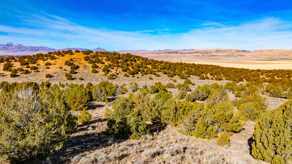 COUNTY ROAD 28 Levan, UT 84639