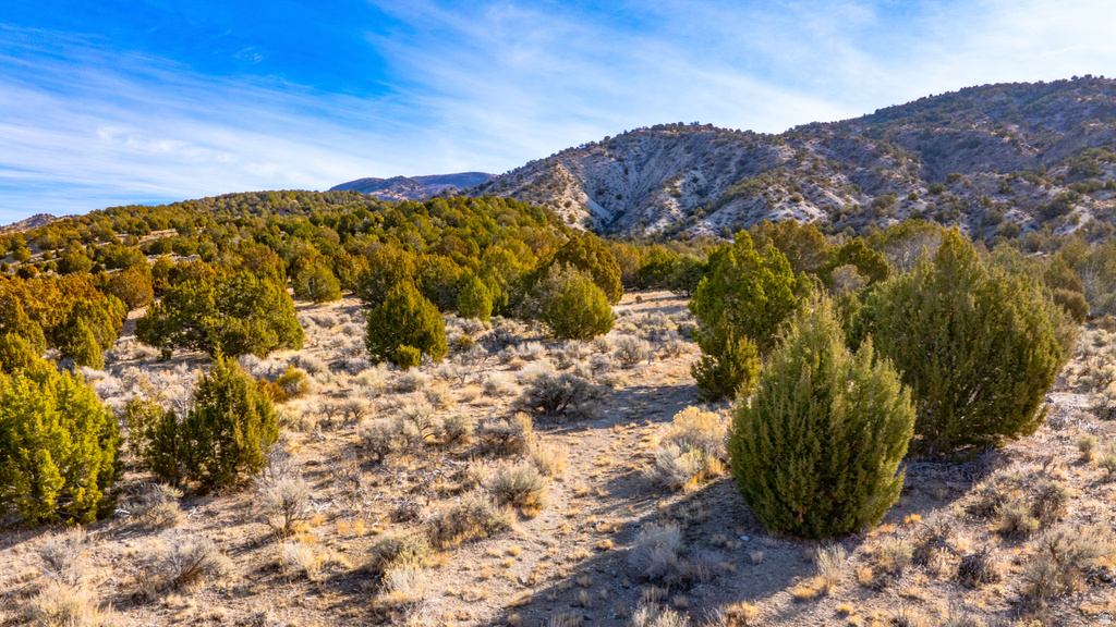 COUNTY ROAD 28 Levan, UT 84639