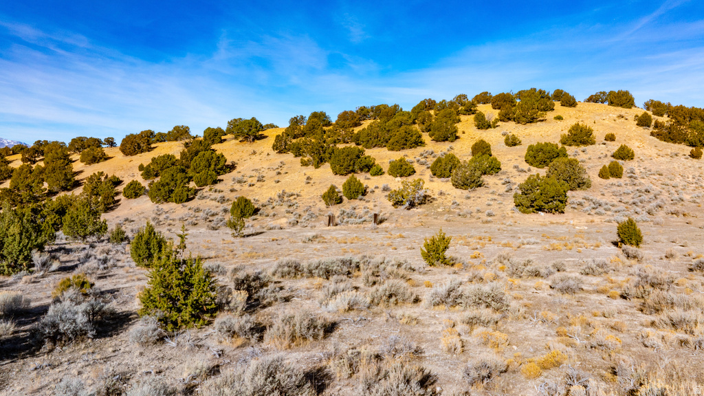 COUNTY ROAD 28 Levan, UT 84639